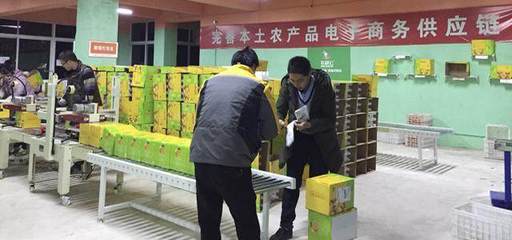 借力農(nóng)村電商&ldquo;東風(fēng)&rdquo;助推金堂柑橘銷(xiāo)往全國(guó)